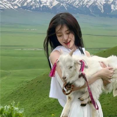 美国式离婚